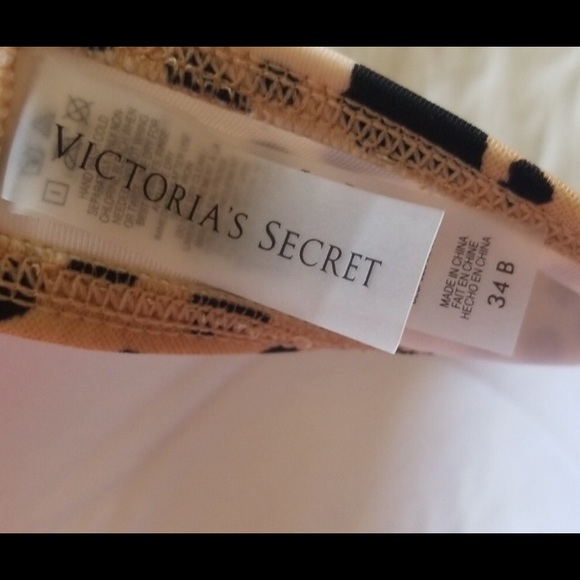 Bikini - Picture 5 of 5